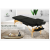 Folding Spa Beauty Bed | massage bed | aesthetic bed | facial bed｜adjustable spa bed