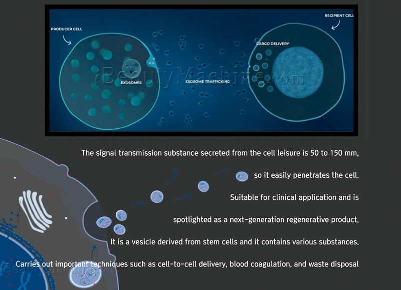 what are exosomes