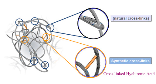 Cross-linked hyaluronic acid