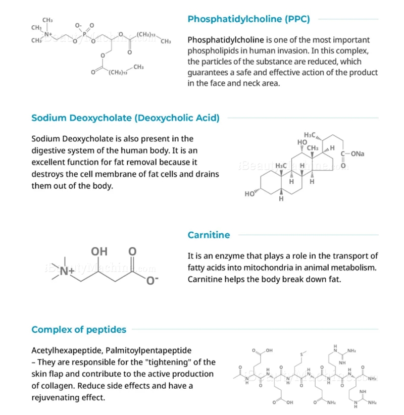 dr lipo+ main ingredients
