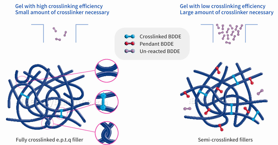 E.P.T.Q. Epitique HA Filler fully crosslinked