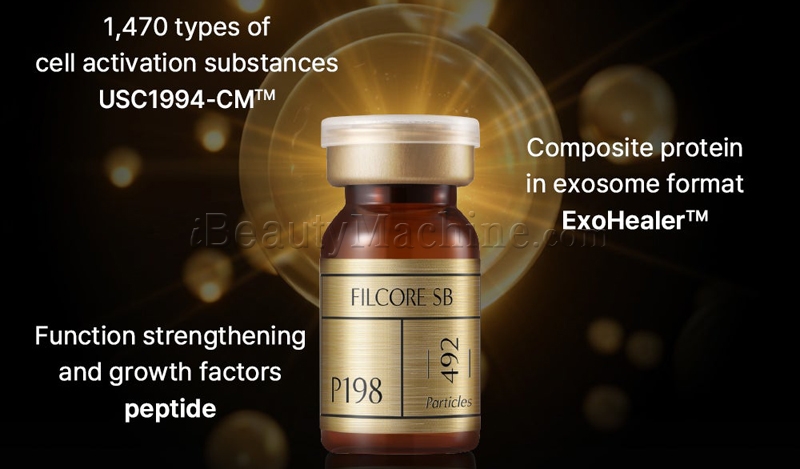 P198 ExoHealer FILCORE SB PLUS Introduction