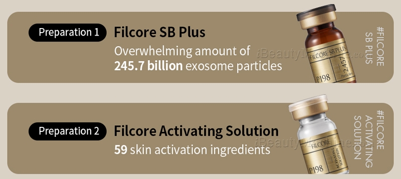 P198 ExoHealer FILCORE SB PLUS Dual Preparation