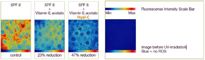 Vitamin C result