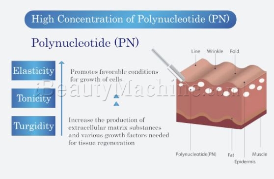 ami eyes pure Polynucleotide