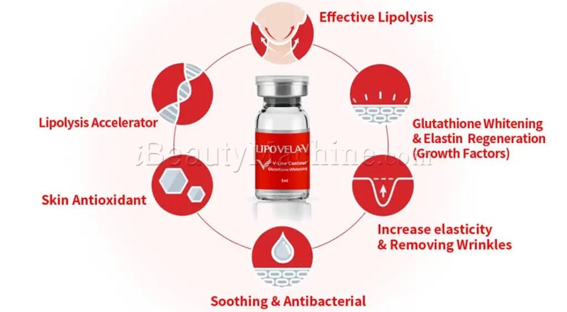 LIPO VELA V main ingredients