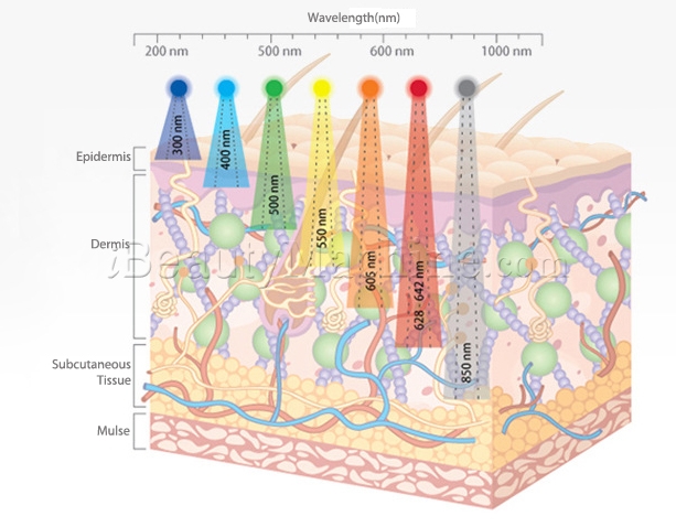 LED Light Therapy