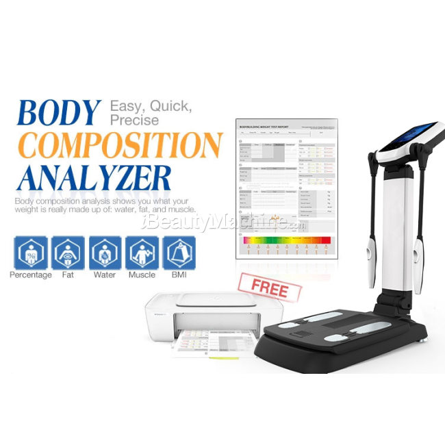 Professional Body Composition Analyzer Multifrequency bioelectrical