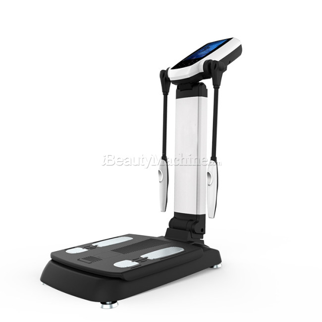 Professional Body Composition Analyzer Multifrequency bioelectrical