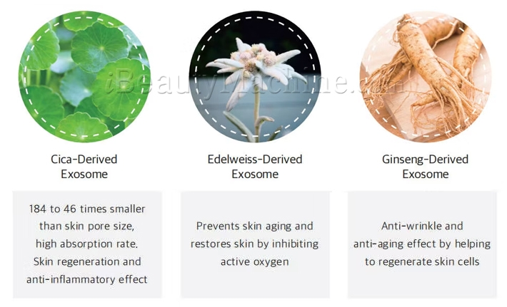 NEOSTEM three types of exosome