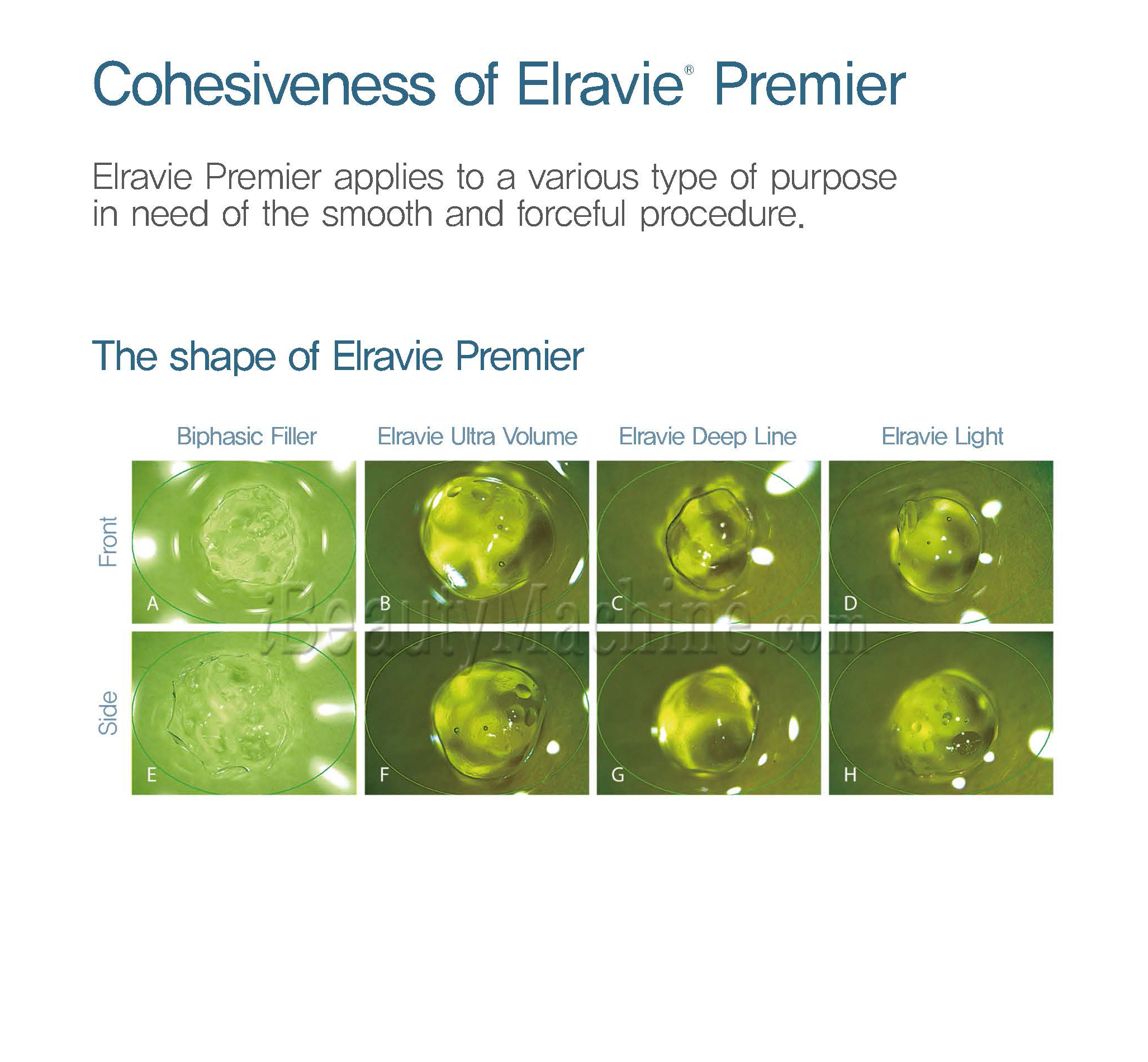 cohesiveness of elravie premier