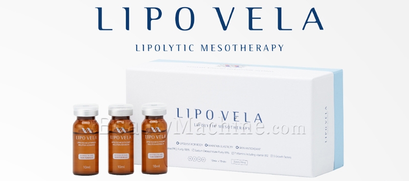 Lipo Vela introduction