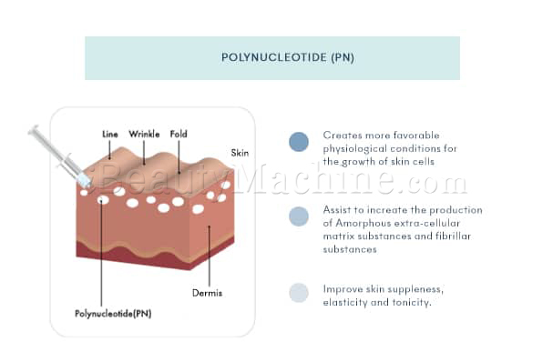 Rejuran Healer for Full Face Rejuvenation