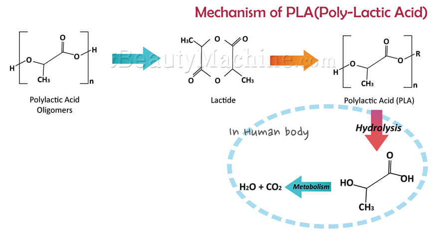 mechanism-of-PLA